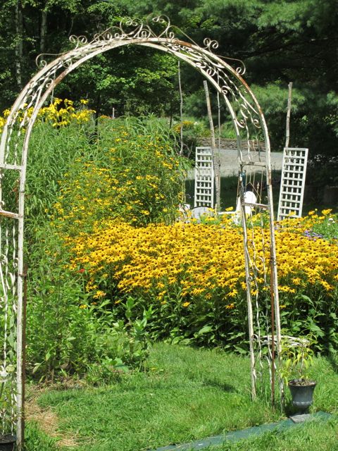 There are flowers everywhere!