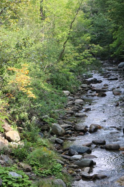 The leaves are beginning to change.