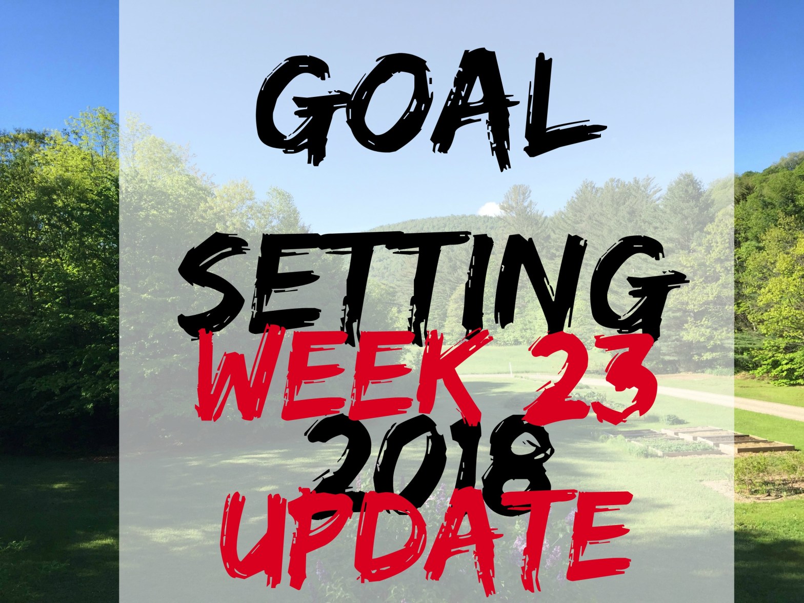 goal setting spring 23
