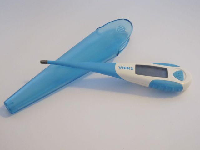 Digital Thermometer