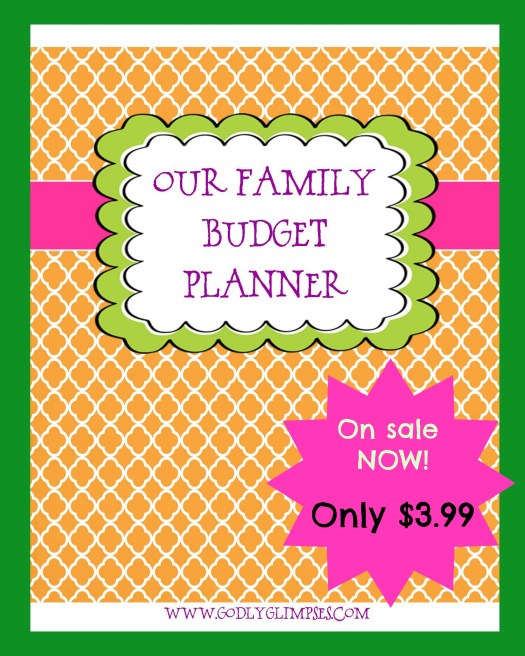 Our Family Budget Planner Promo