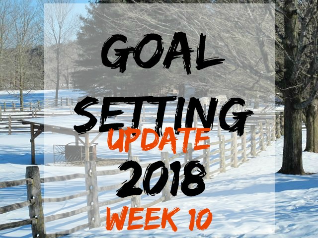 goal-setting 10