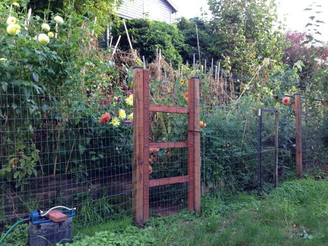 Small backyard gardens