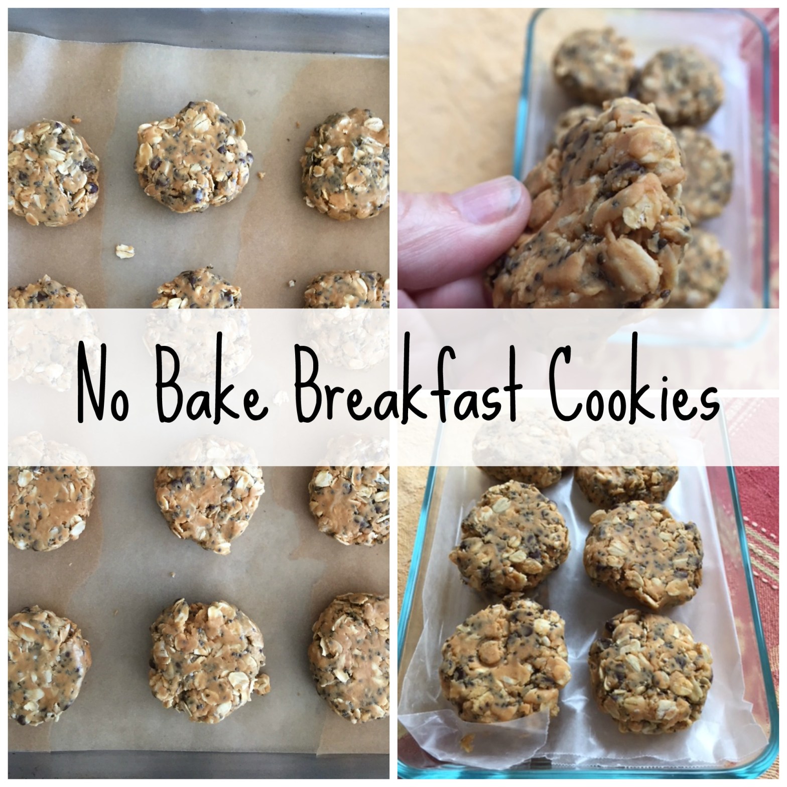 no bake breakfast cookies