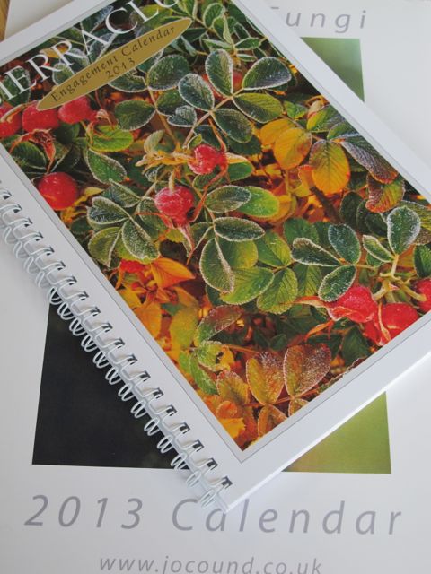 frugal tips, prudent living