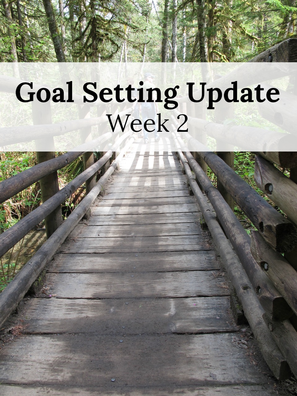 Goal Setting