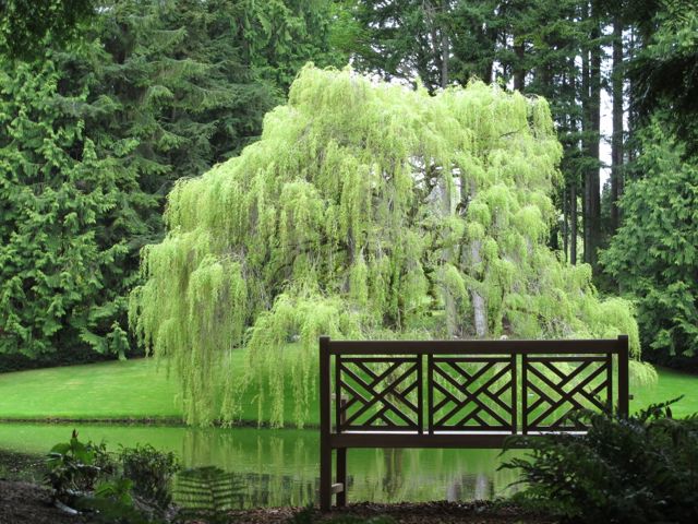 I can't wait to return.