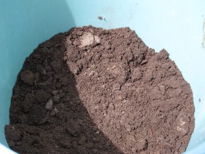 soil testing, gardening