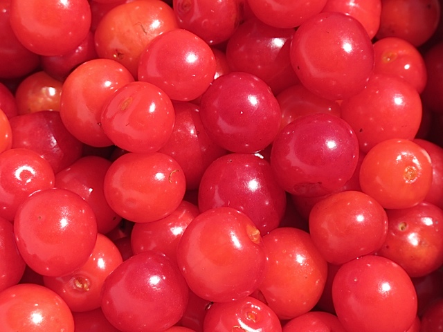 Sour cherries cherries, cordial, prudent living