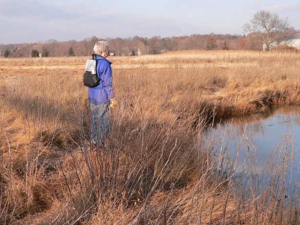 2014_Finalphoto_Carolie2007