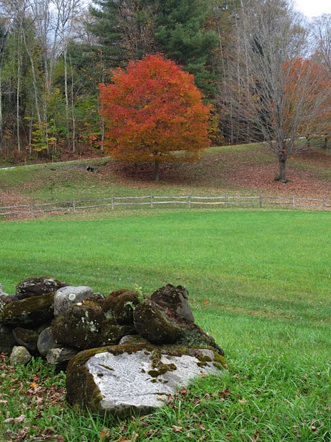 fall, prudent living