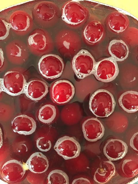 sour cherries cordial