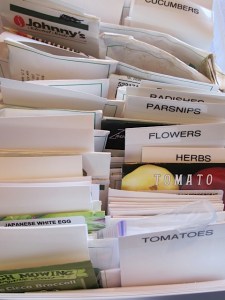 flower seeds, vegetable seeds, gardening, prudent living