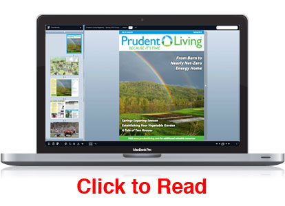 prudent living, online magazine