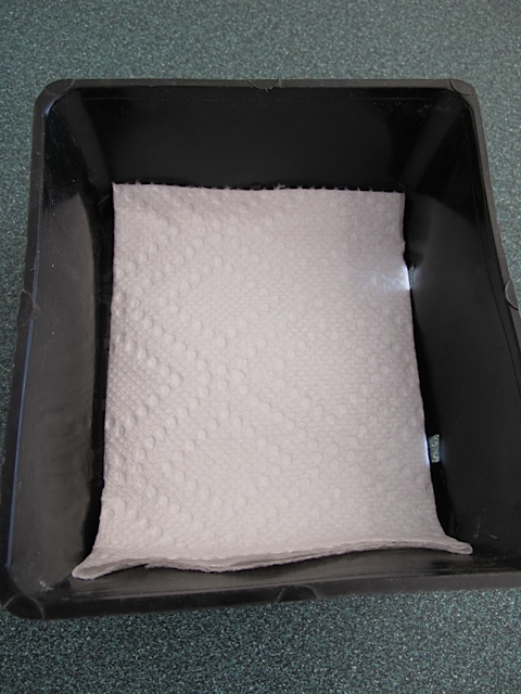 seed starting, gardening, prudent living