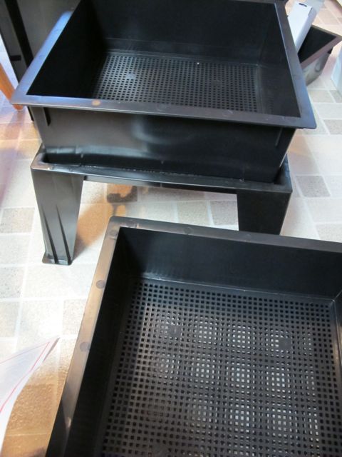 Setting up the worm farm.