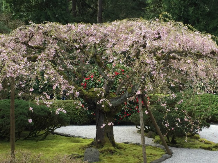 Exploring the Pacific Northwest