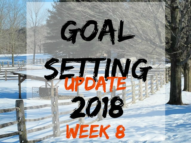 goal-setting 8