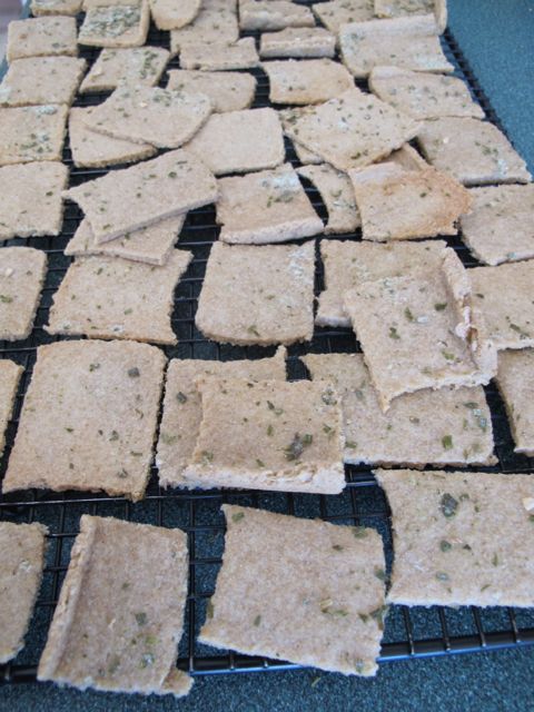 Crackers cooling on a wire rack.