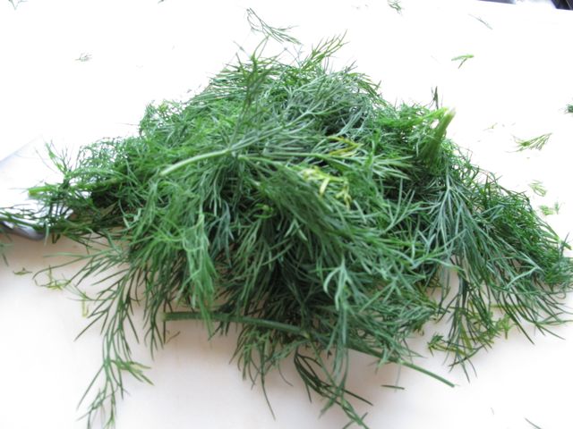 Dill