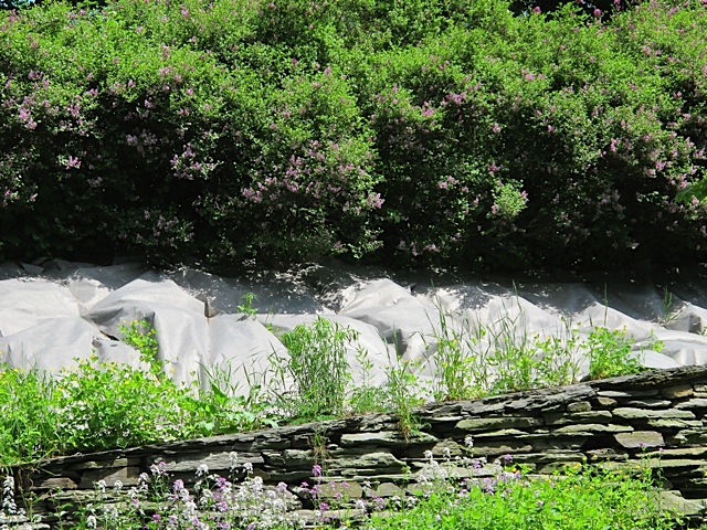 Creating gardens gardening, gardens, prudent living