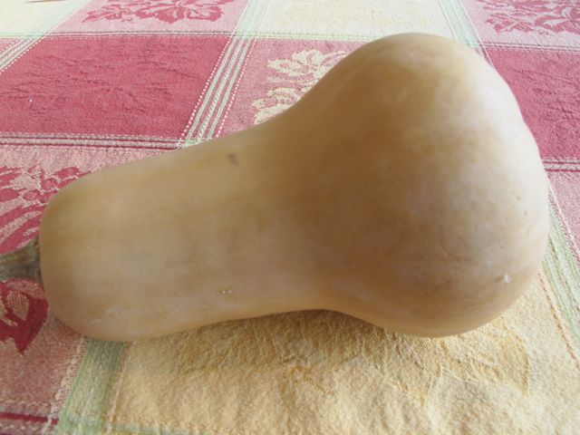 prudent living, recipes