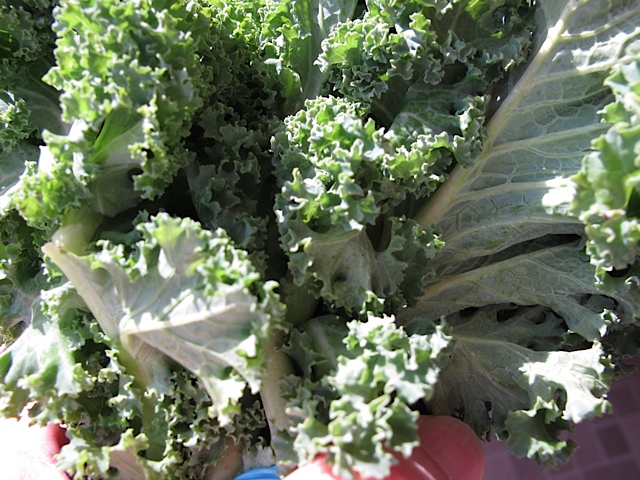 kale, snacks, frugal tip