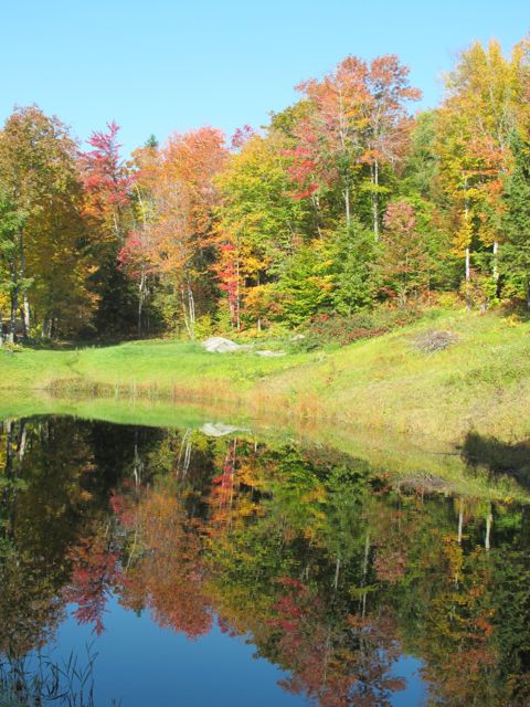 It's been a beautiful fall.