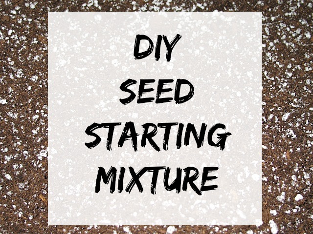 seed starting mixture