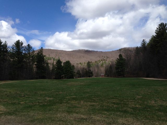 The grass is turning green!