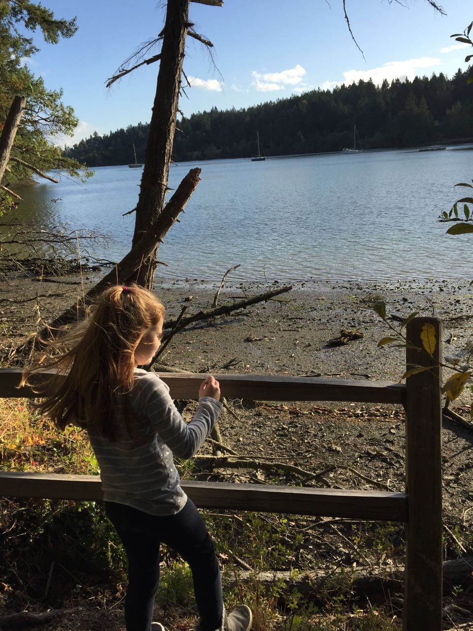 Exploring Anderson Island