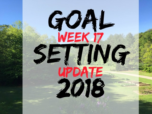 goal setting spring 17