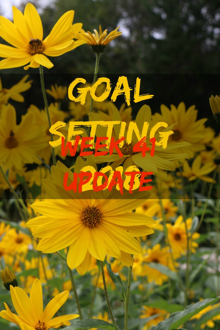 Goal Setting