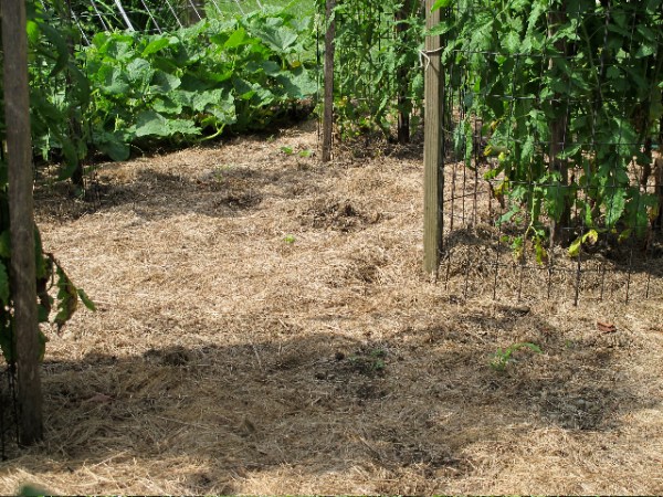 Thank you and&nbsp;Farewell