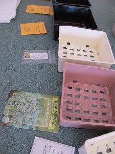 seed starting, planting containers.