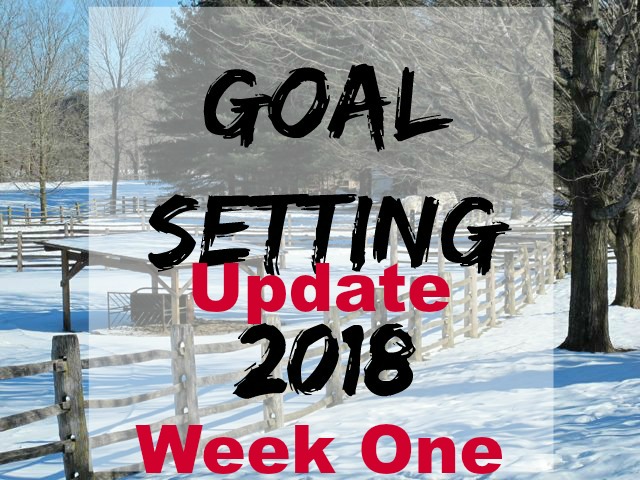 goal-setting week one