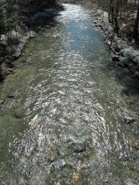 The stream is finally ice free!