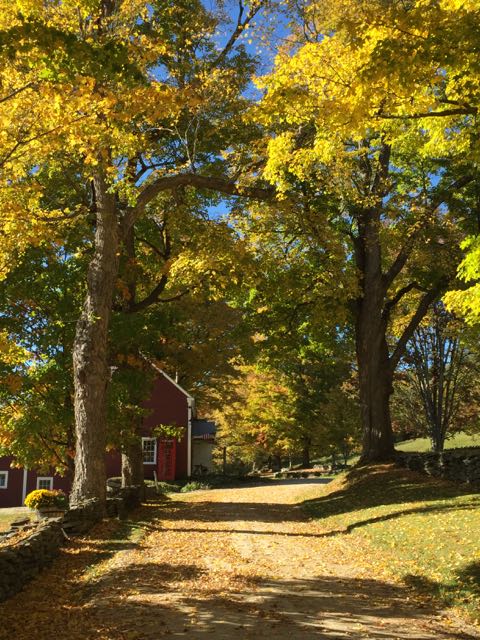exploring Vermont, grandchildren