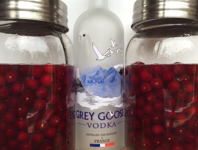 sour cherries cordial