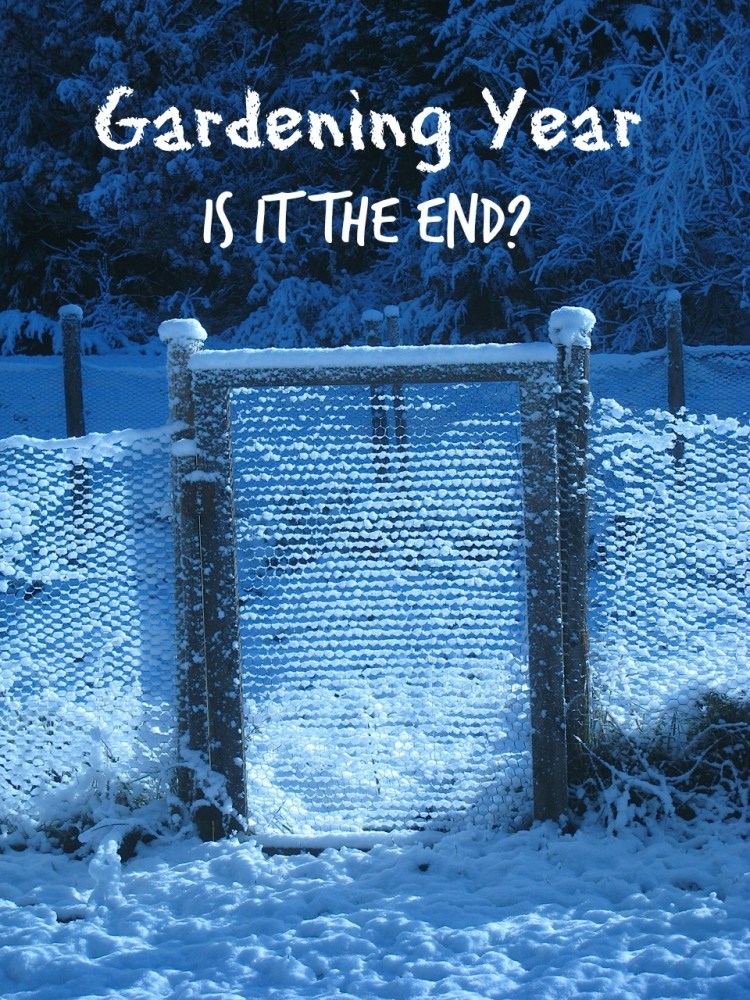 gardening-year