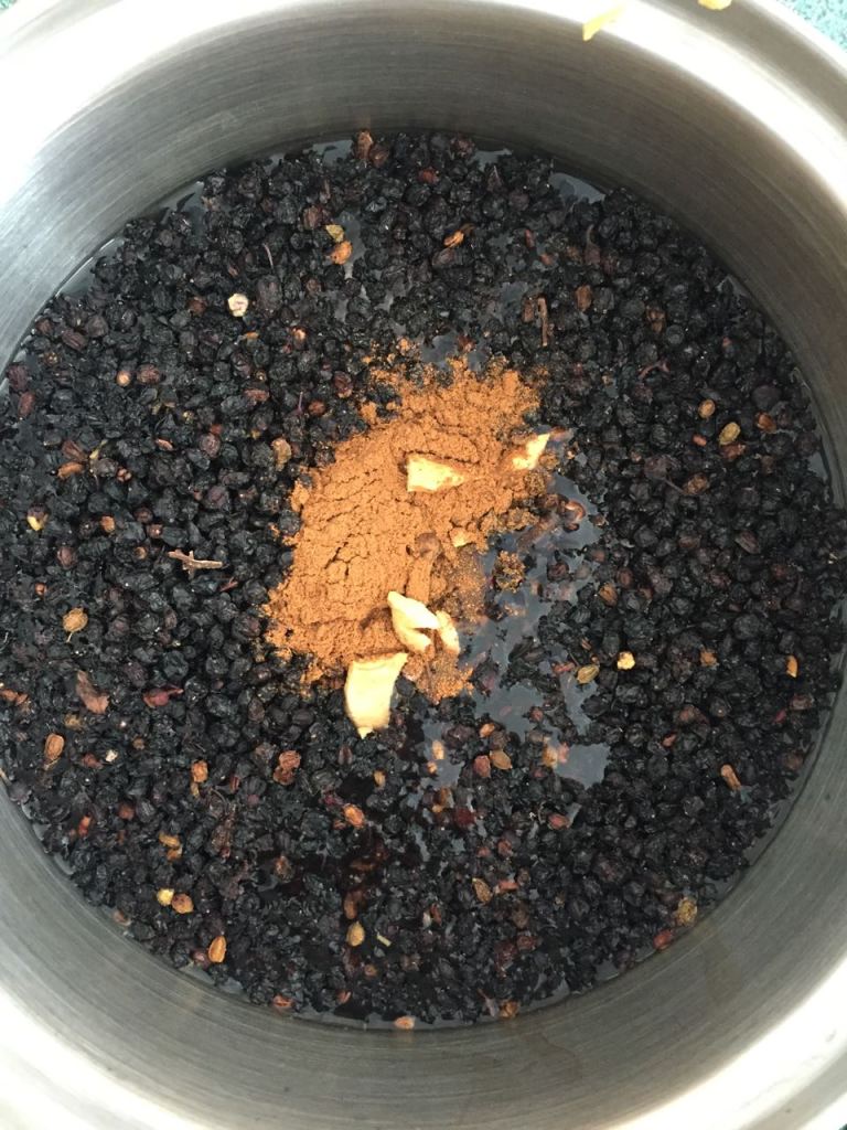 Making elderberry syrup