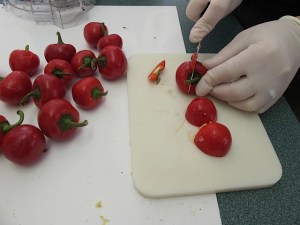 hot peppers, master tonic