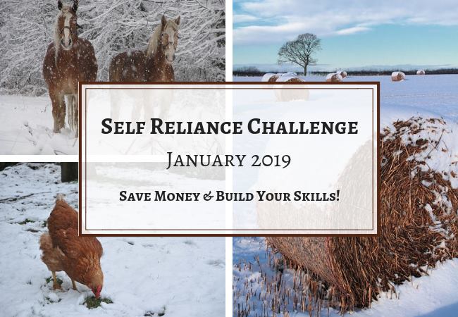 self reliance