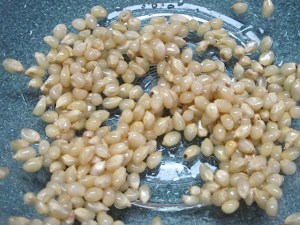 popcorn popcorn kernels, prudent living