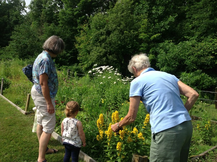 retirement garden