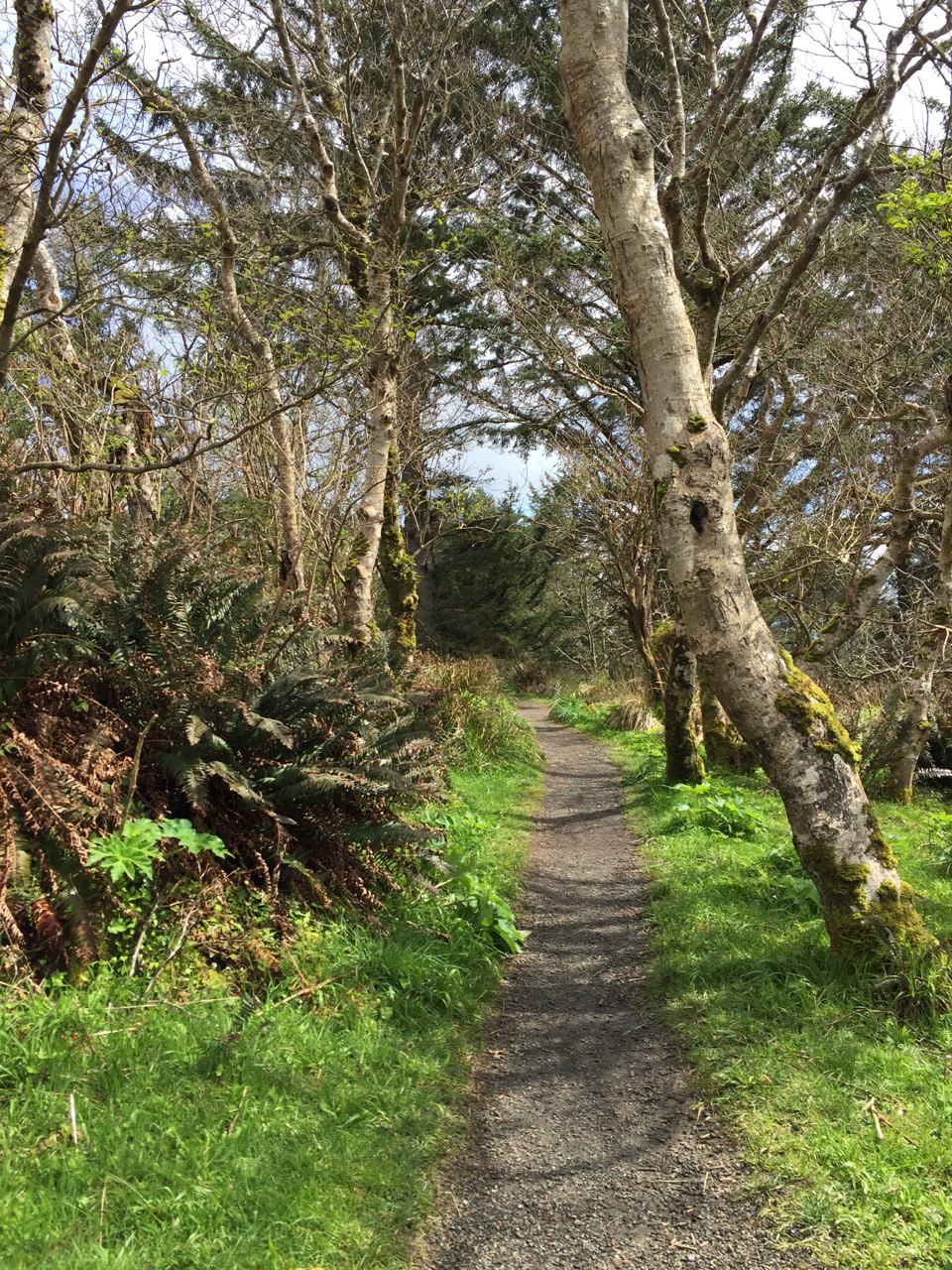 Exploring the Pacific Northwest