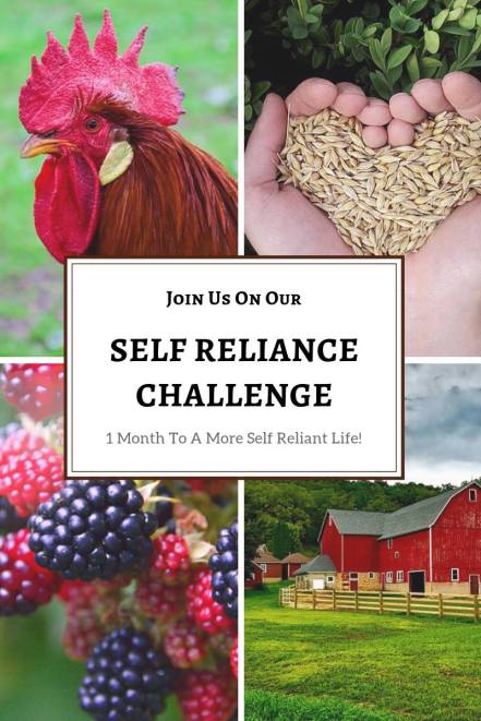 self reliance