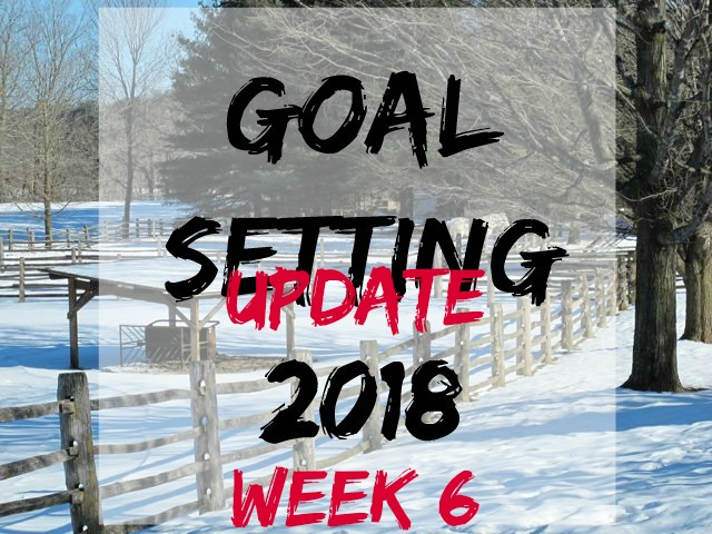 goal-setting 6