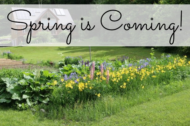 Spring is Coming