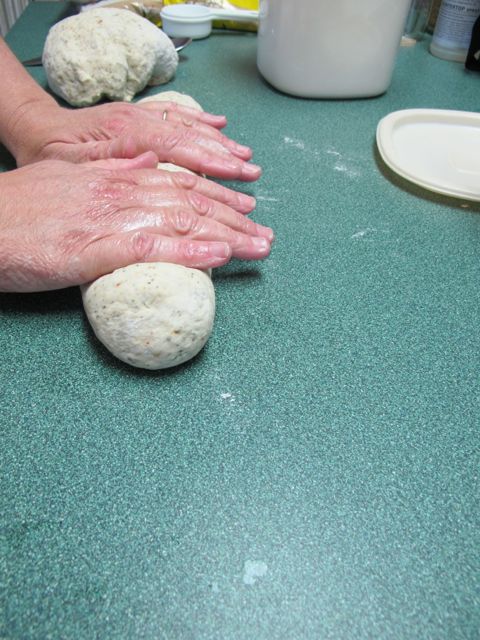 Shape the dough into two loaves.